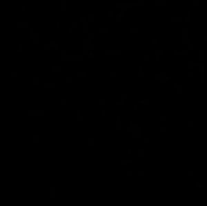 Meet your Posher, Daisy